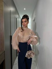 Elegant Organza Blouse