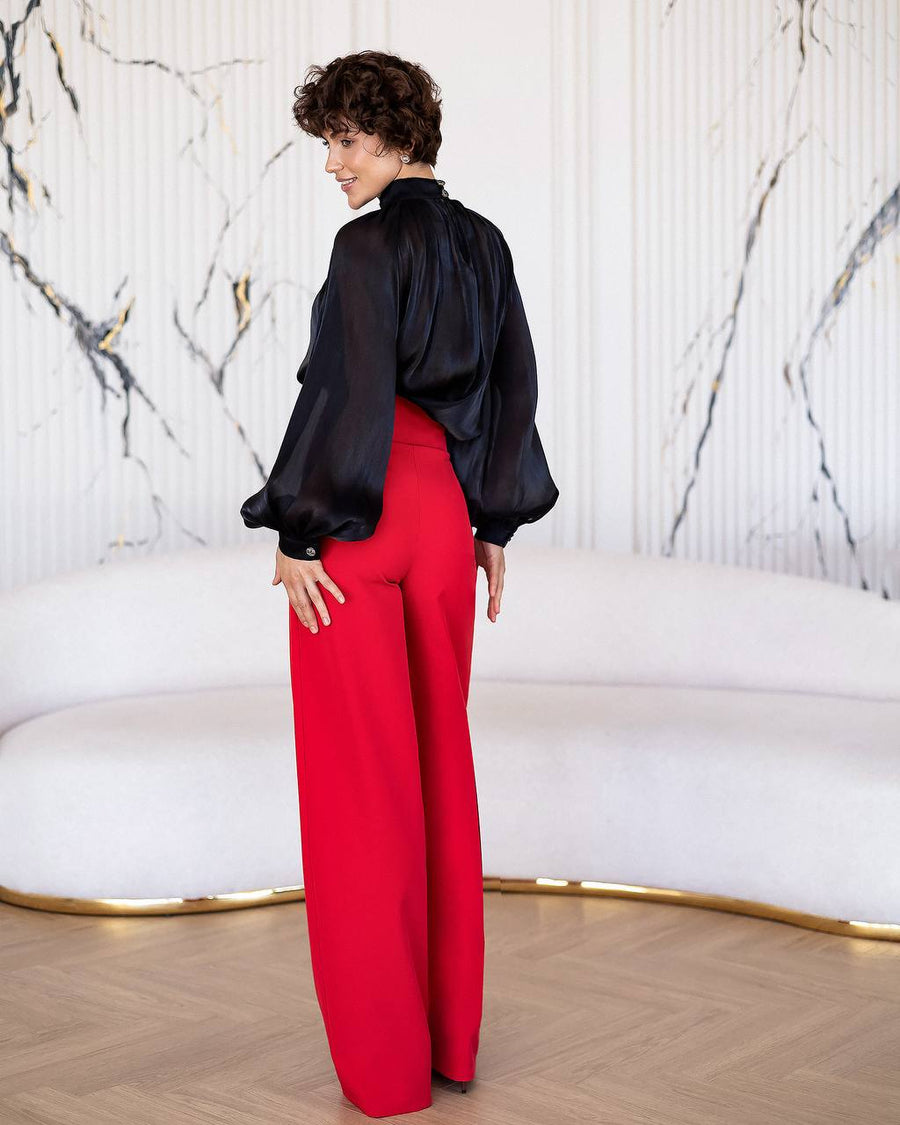 Elegant Organza Blouse
