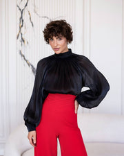 Elegant Organza Blouse