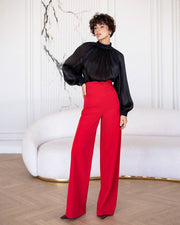 Elegant Organza Blouse