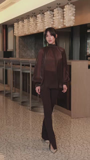 Elegant Organza Blouse